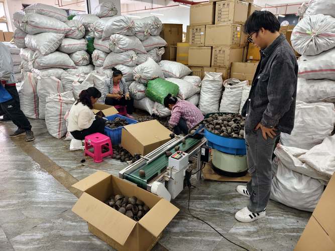买果壳铃为什么要选择云愈果壳铃工厂,4个方面告诉你我们的优势